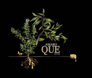 Amaro QUE Arcevia