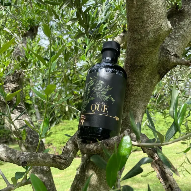 Amaro QUE Arcevia