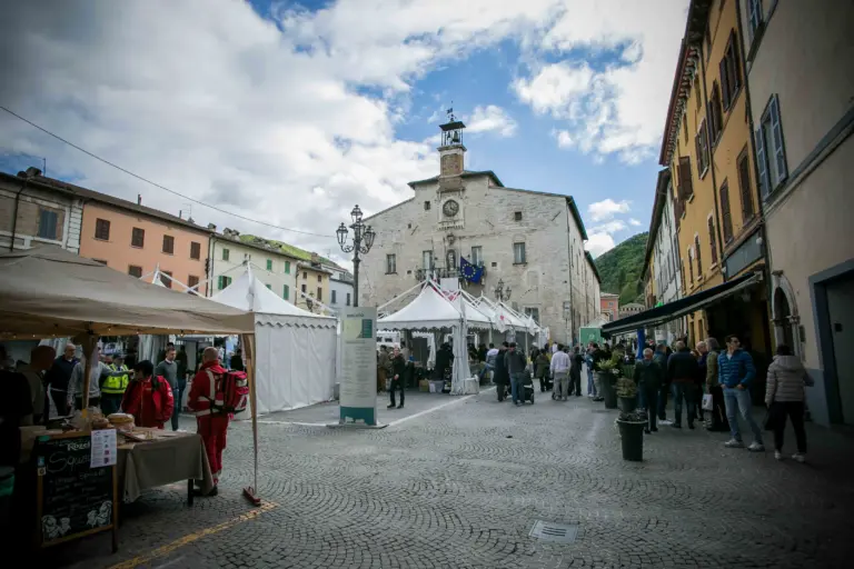 Distinti Salumi