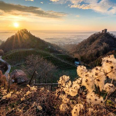 Adami___Valdobbiadene_Prosecco_Superiore_DOCG.jpg