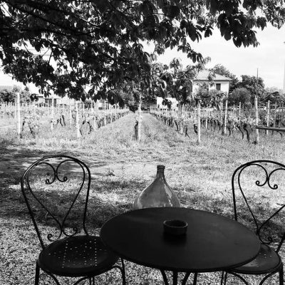 Agriturismo_e_Azienda_vinicola_Innocenzo_Turco_di_Lorenzo_Turco.jpg
