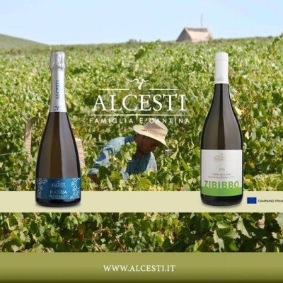 Alcesti_Azienda_Vinicola.jpg