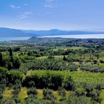 Azienda-Agricola-Agrituristica-Il-Roccolo-Bertazzi.jpg