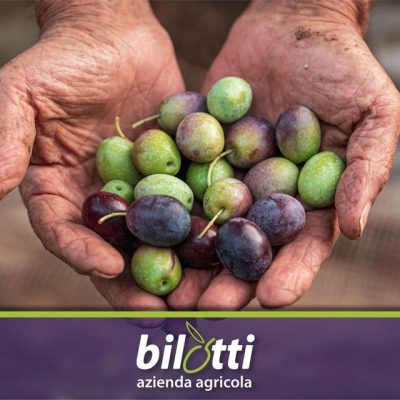 Azienda-Agricola-Bilotti.jpg
