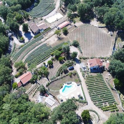 Azienda-Agricola-Biologica-AgriCottaAgriturismo-Il-Roccolo.jpg