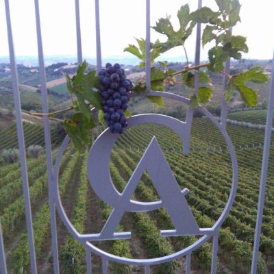 Azienda_Agricola_Allevi_Maria_Letizia.jpg