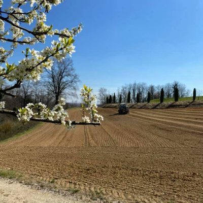 Azienda_Agricola_Calalta.jpg