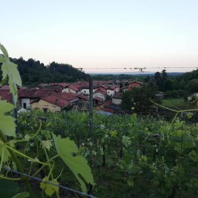 Azienda_Agricola_Le_Masche_di_Lorenzo_Simone.jpg