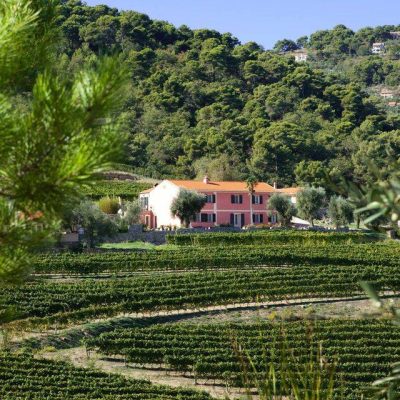 Azienda_Agricola_Maria_Donata_Bianchi__Agriturismo_Valcrosa.jpg