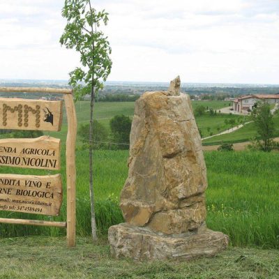 Azienda_Agricola_Massimo_Nicolini.jpg