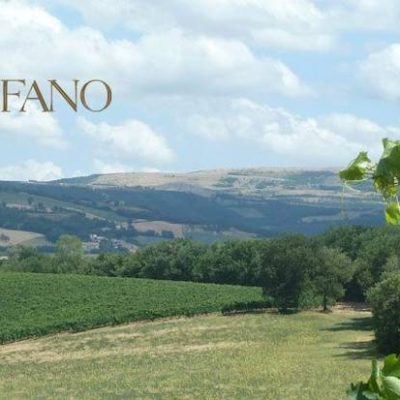 Azienda_Vitivinicola_Collestefano.jpg
