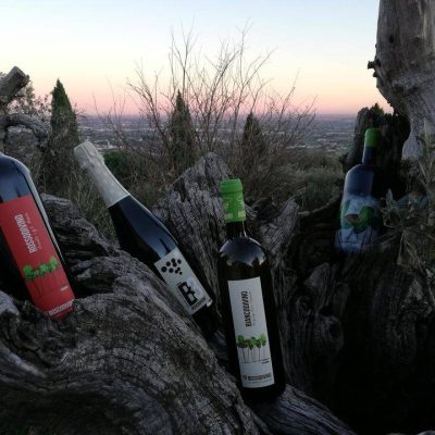 Boscodivino.jpg