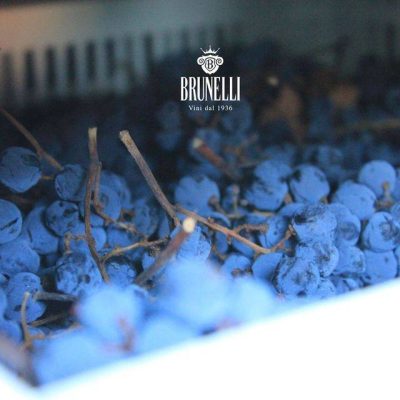Brunelli_Wines_Amarone.jpg
