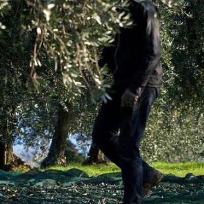 Cooperativa-Agricola-San-Felice.jpg