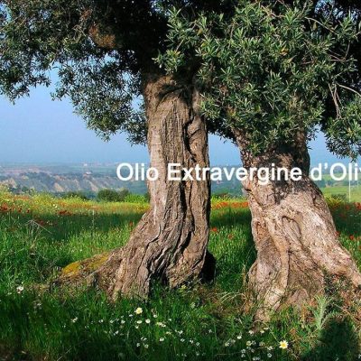 Eleusi-Olio.jpg