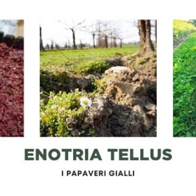 Enotria_Tellus.jpg