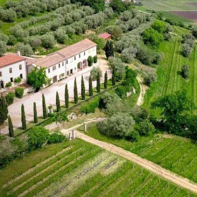 Il_Fil__delle_Vigne.jpg