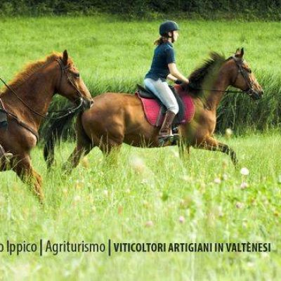 La_Basia_Azienda_Agricola.jpg