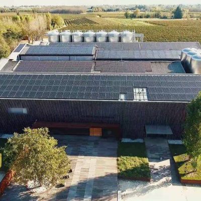 La_Cantina_Pizzolato___Organic_Wine_Experience.jpg