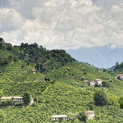 La_Farra_winery.jpg