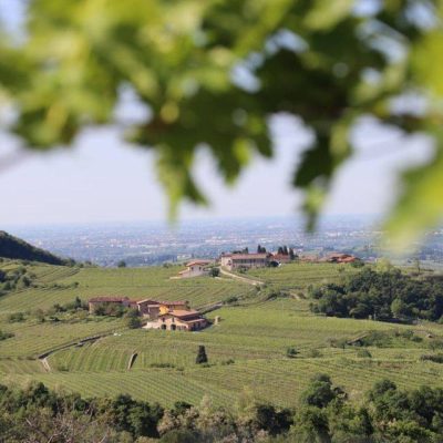 Le_Bignele___Vini_della_Valpolicella_e_Alloggio_Agrituristico.jpg