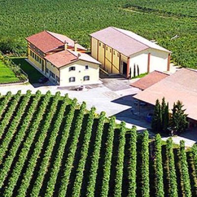 Monte_del_Fr__winery.jpg