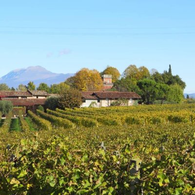 Podere_Selva_Capuzza.jpg
