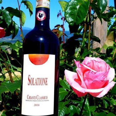 Solatione_Winery.jpg