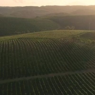 Tasca-dAlmerita.jpg