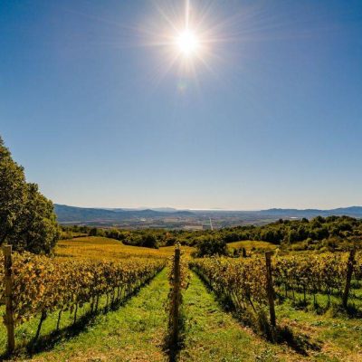 VALDONICA___Tuscany_Italy__Winery___Vineyard_Residence.jpg