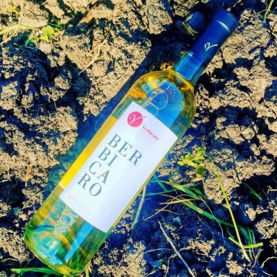 Verbicaro_Viti_e_Vini_s_r_l.jpg
