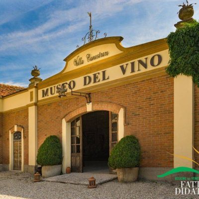 Villa_Canestrari___Museo_del_Vino.jpg