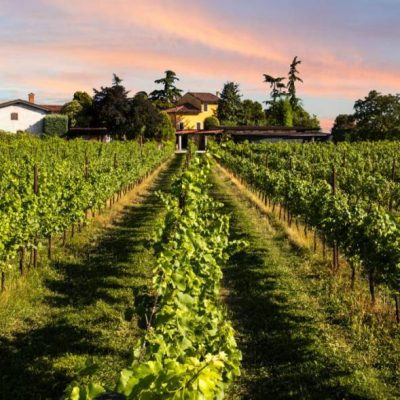 Villa_Merighi_Winery.jpg