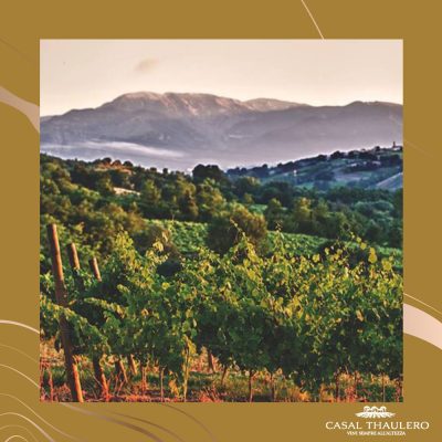 casal-thaulero.jpg