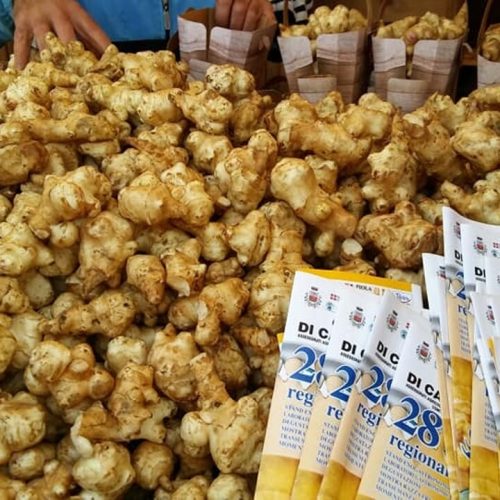 ciapinabo.jpeg