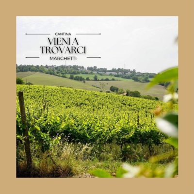 marchetti.jpg