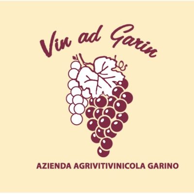 vini-garino.jpg