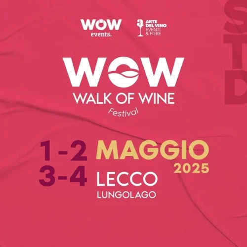 wow-winw-festival-2025.webp